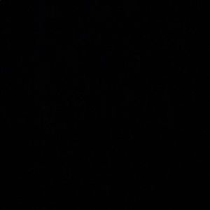 Meet your Posher, Will